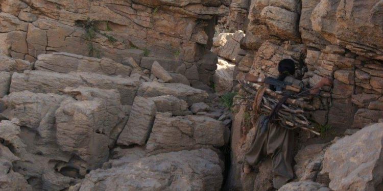 Ji Pênûsa Gerillayekî- ‘Weke wolkanekî geş dibe hêviyên min’