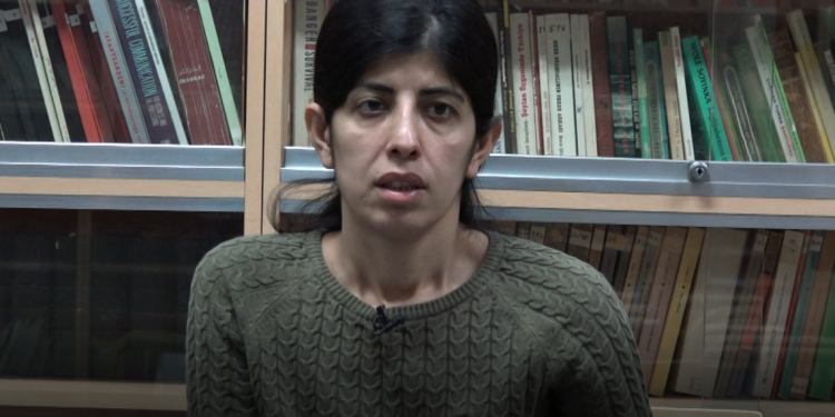 TAYBET- Faraşîn; “Berxwedana Kobanê xwedîderketina nirxan bû, ciwanan vêya pêkanî”