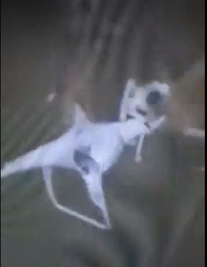 LEZGÎN- Hêza Xweparastinê li Dêrîkê dironeyek daxistin xarê