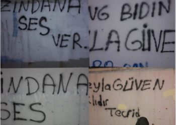 Ji Meclîsên Ciwanan li Amed û Edene’yê çalakiyên protestoyê