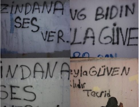 Ji Meclîsên Ciwanan li Amed û Edene’yê çalakiyên protestoyê