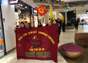 Tevgera Ciwanên Şoreşger li Swêd’ê çalakî lidar xist