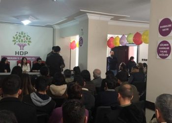 Ciwanên Mêrsîn’ê Meclîsê Xwe Îlan Kir