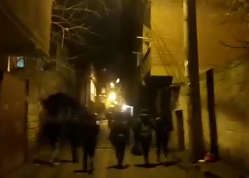 Ciwanên Amed’ê li dijî tecrîdê derketin qadan