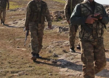 Tetîtkvanên Hilbijartinan a Dewletê: Cerdevan