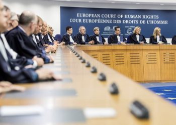 ANALÎZ- Wateya Biryara DMME (AÎHM)’yê