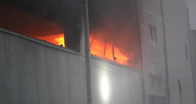 Şewata ku sedem nayê zanîn xwe gihand Dîlokê!