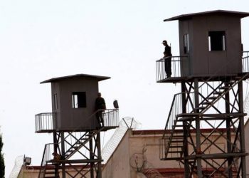 317 girtiyên azadiyê di greva birçîbûnê de ye!