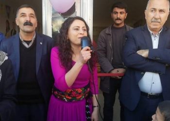 Namzeta HDP’ê Narîn Gezgor serbest hat berdan