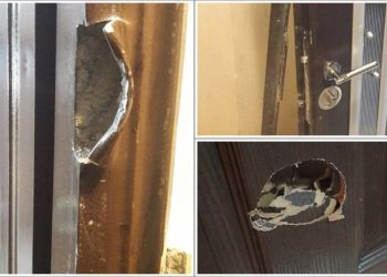 Li Amed’ê 6 welatî hate binçavkirin