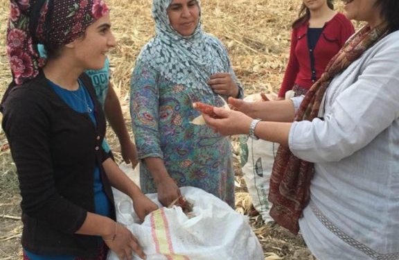 Berxwedêr 110 roj in bibiryarin: Tecrîd wê were şikandin!