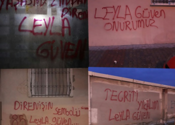 Ji Meclîsên Ciwanan li Wan, Edene û Stenbolê çalakî!