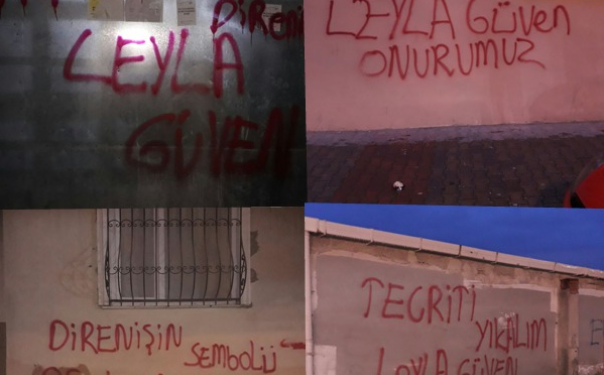 Ji Meclîsên Ciwanan li Wan, Edene û Stenbolê çalakî!