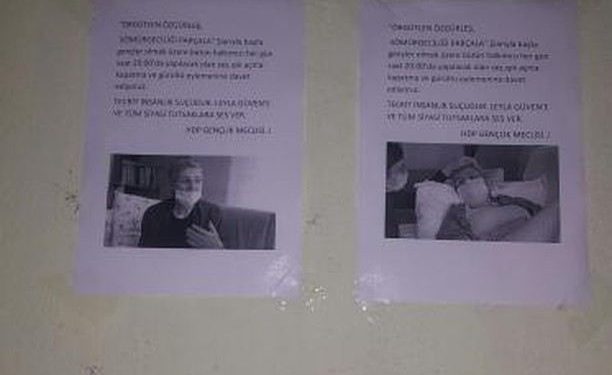 Ji Meclîsên Ciwanan çalakiya afîşê