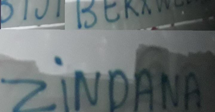 Ji Ciwanên Stenbolê li dijî tecrîdê çalakiya nivîsandinê!