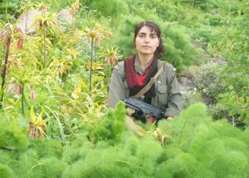 JI ROJNIVÎSA ŞEHÎD BERFÎN MÊRDÎN