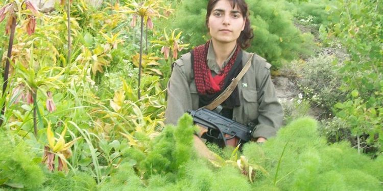 JI ROJNIVÎSA ŞEHÎD BERFÎN MÊRDÎN