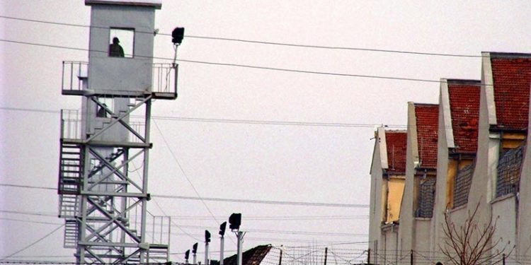 LEZGÎN -Denîz Kaya:”Ji 1’ê Adarê ve hemû girtî dikevin greva birçîbûnê ya bêdem û bêdorveger”