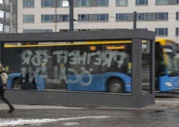 Ji Ciwanên Entarnasyonal li Zaningehê çalakî