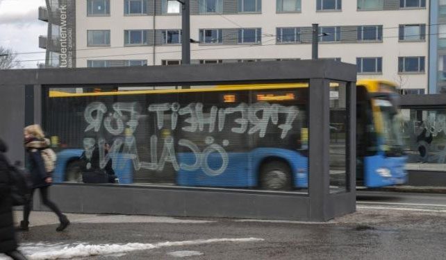 Ji Ciwanên Entarnasyonal li Zaningehê çalakî