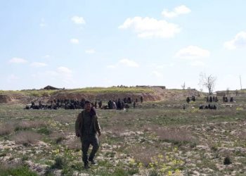 Çeteyên DAİŞ û malbatên wan li Baxozê pêl bi pêl xwe radestî şervanên QSD’ê dikin