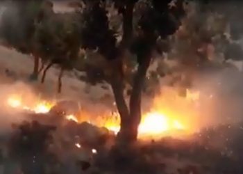 Ji ber topbarana dagirkera Tirk daristanên Kurdistanê dişewitin