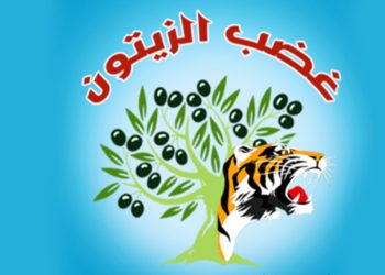 Odeya Çalakiyan a Xezeba Zeytûnê: Sîxurek hate cezakirin