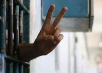 Girtiyên PKK û PAJK’ê: ‘Dîrok ew e ku bi berxwedanê hatiye nivîsandin’