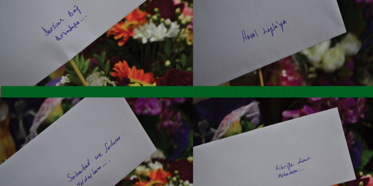 Çalakvanê greva biçîbûnê Nasir Yagiz ji çalakgerên jin re name şand