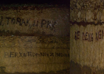 Xwendekarên Zanîngeha Artukluyê li zanîngeha xwe çalakî pêk anîn