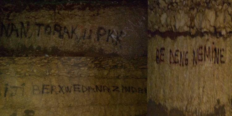 Xwendekarên Zanîngeha Artukluyê li zanîngeha xwe çalakî pêk anîn