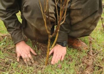 Gerîlayên HPG-YJA Starê 4’ê Nîsanê pîroz kirin