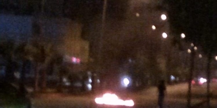 Yekîneyê Tolhildana şehîd Zulkuf Gezen li dijî tecrîdê çalakî pêk anî