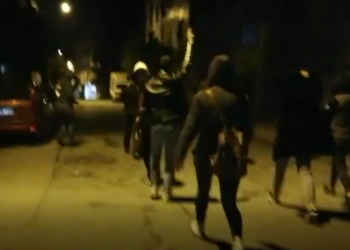 Ciwanên Stenbolê bi slogana “Kurdistan wê ji bo faşîzmê bibe goristan” meşiyan