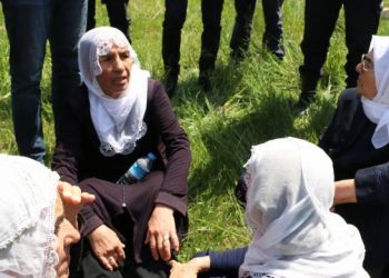 Li Gebze careke din dayik rastî êrîşa polîsên dagirker ên Tirk hatin