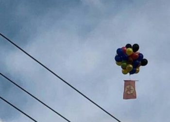 Ciwanên Wanê ala PKK’ê bilind kirin