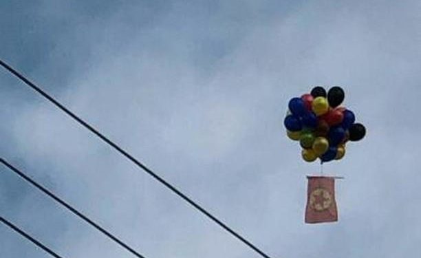 Ciwanên Wanê ala PKK’ê bilind kirin