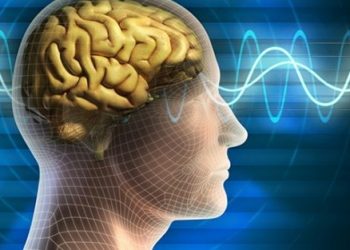 ANALÎZ – Zihniyet û Civak – 1