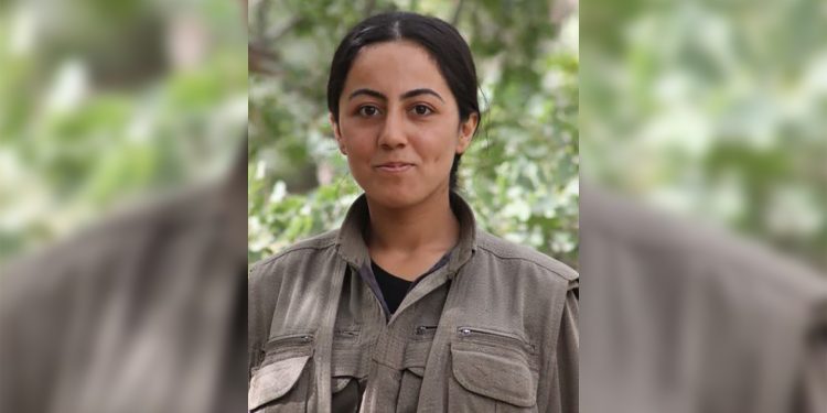 Ji Pênûsa Gêrîlla: Gûl û Bihar; Du Xweşîxbûnên Mezin