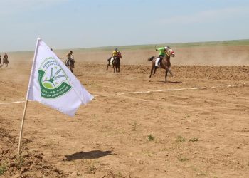 Mîhrîcana 6’emîn a Hespan li Çilaxa pêk hat