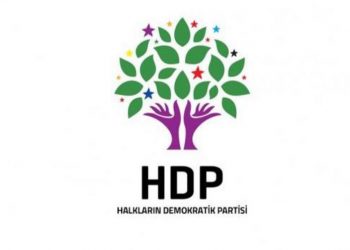 HDP’ê ji bo çalakgerên greva birçîbûnê Maseya Koordînasyonê ava kir