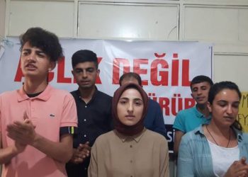 Meclîsa Ciwanên HDP’ê ya Êlihê avakirina xwe îlan kir