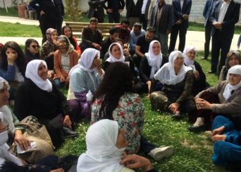 Dayikên Laçik Spî li Wan, Mêrsîn û Stenbolê li dijî tecrîdê çalakî pêk anîn