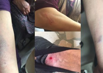 Li Gebzeyê di êrîşê de polîsên Tirk ên dagirker gelek dayik birîndar kiribûn