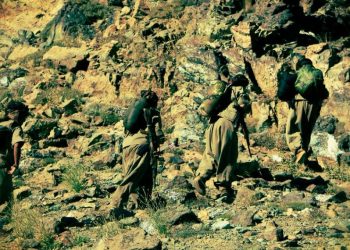 LEZGÎN – HPG’ê li Şirnex, Amed û Bedlîsê li dijmin da: 5 leşkerên dagirker ên Tirk û 2 kontra hatin kuştin