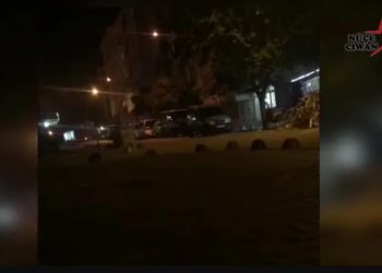 Ji Yekineyên Tolhildanê bîlançoya hefteyekî: 4 wesayîtê bi zirx bi bombeya deng hate xistin