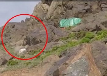 LEZGÎN – Ji Gêrîlla Çalakî: li Licê Leşkerekî dagirker ê Tirk hat kuştin