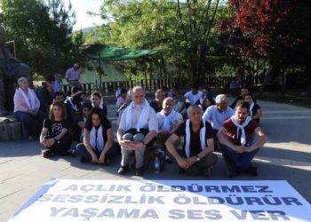 Li Dêrsimê çalakiya rûniştinê di roja 20’an de dewam dike