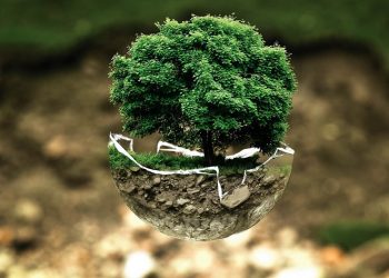 ANALÎZ – Bi Civakeke Ehlaqî û Polîtîk jiyanên Ekolojîk!