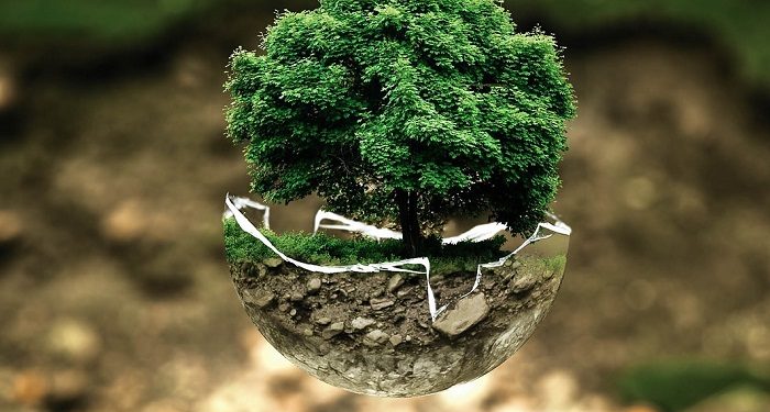 ANALÎZ – Bi Civakeke Ehlaqî û Polîtîk jiyanên Ekolojîk!